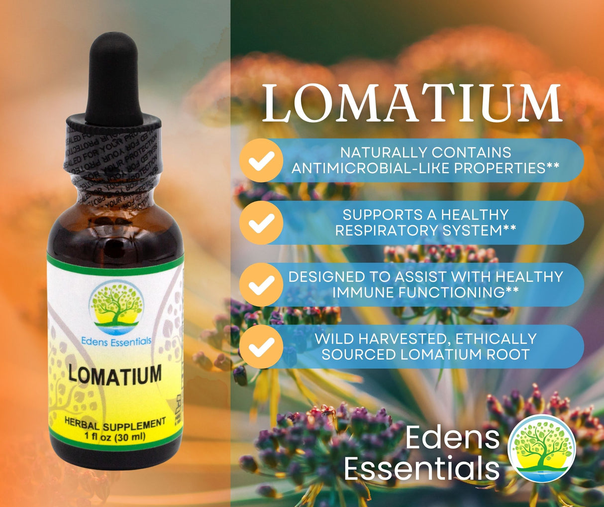 Lomatium