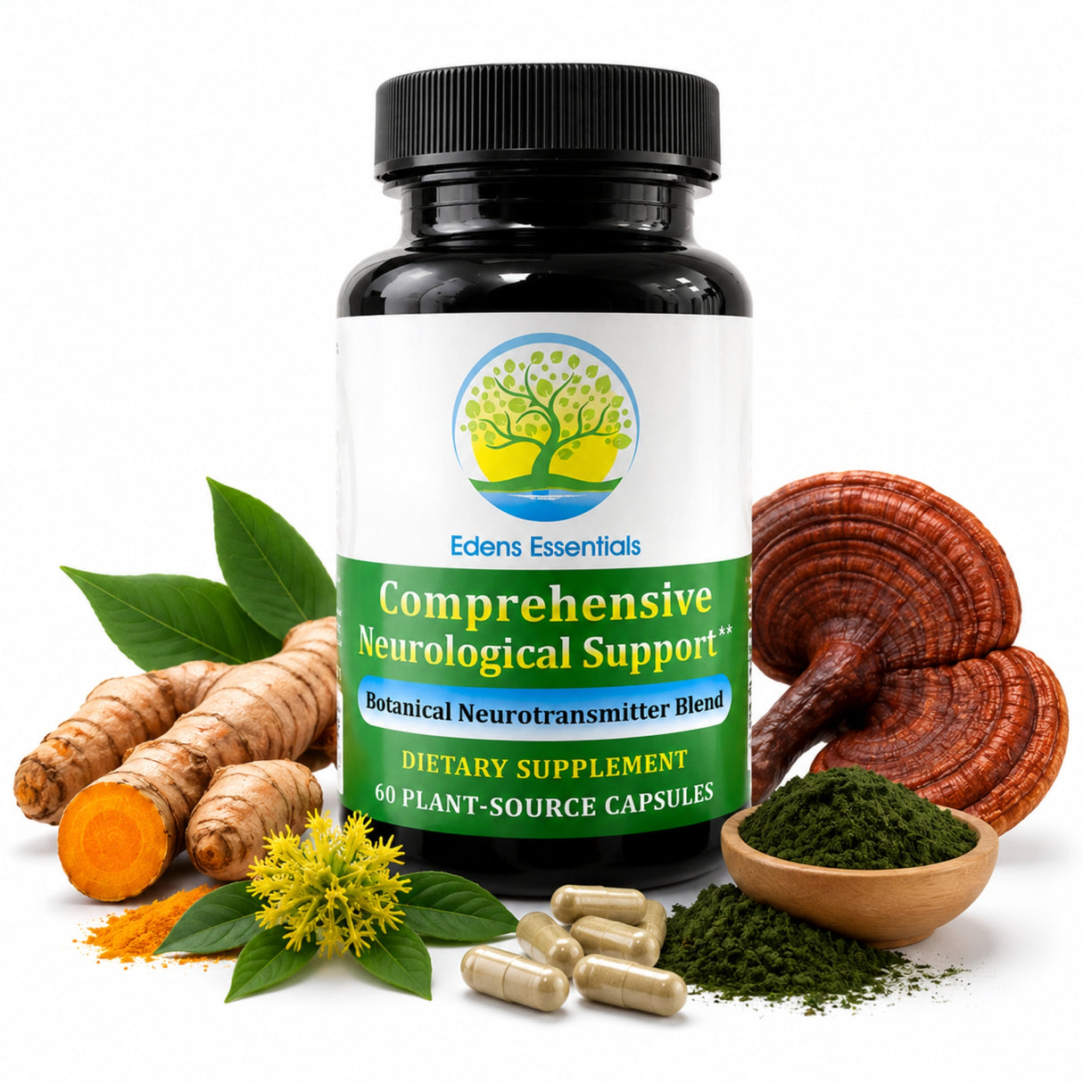 Comprehensive Neurological Support