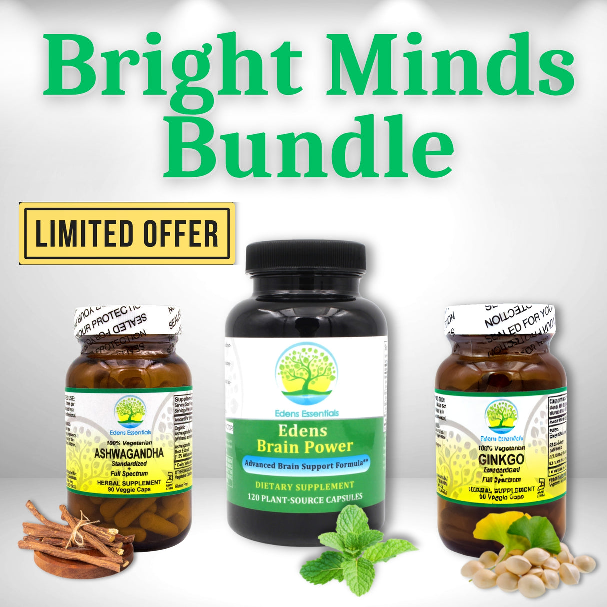 BRIGHT MINDS BUNDLE