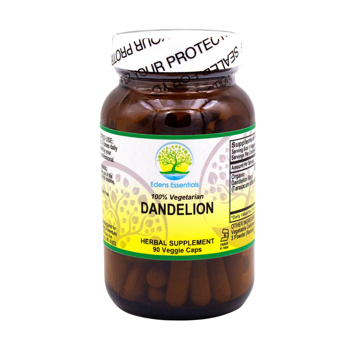 Dandelion