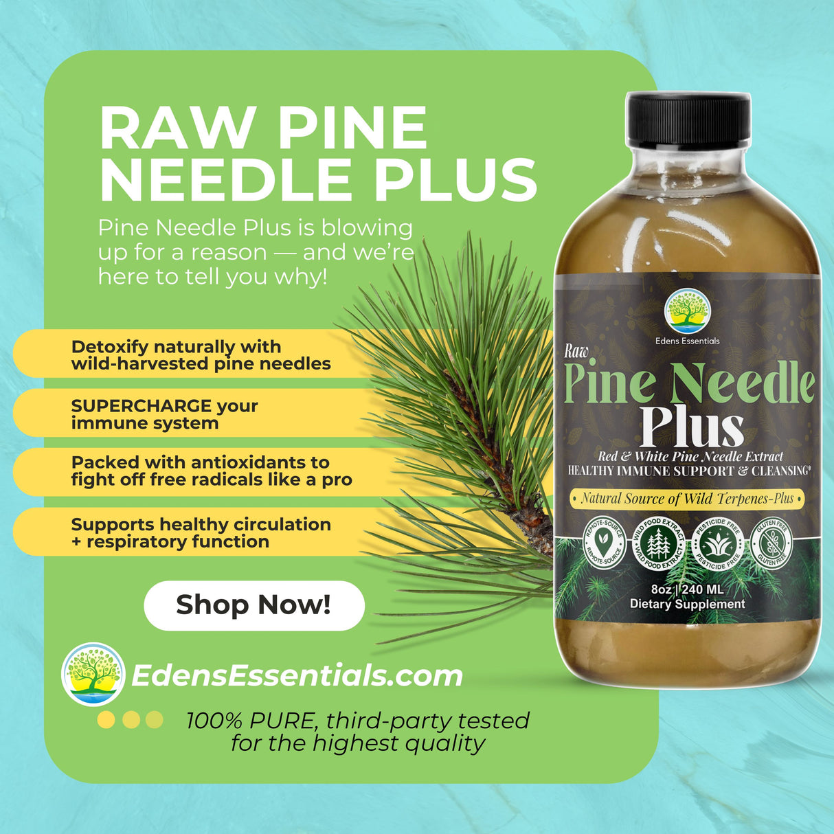 Edens Pine Needle Plus
