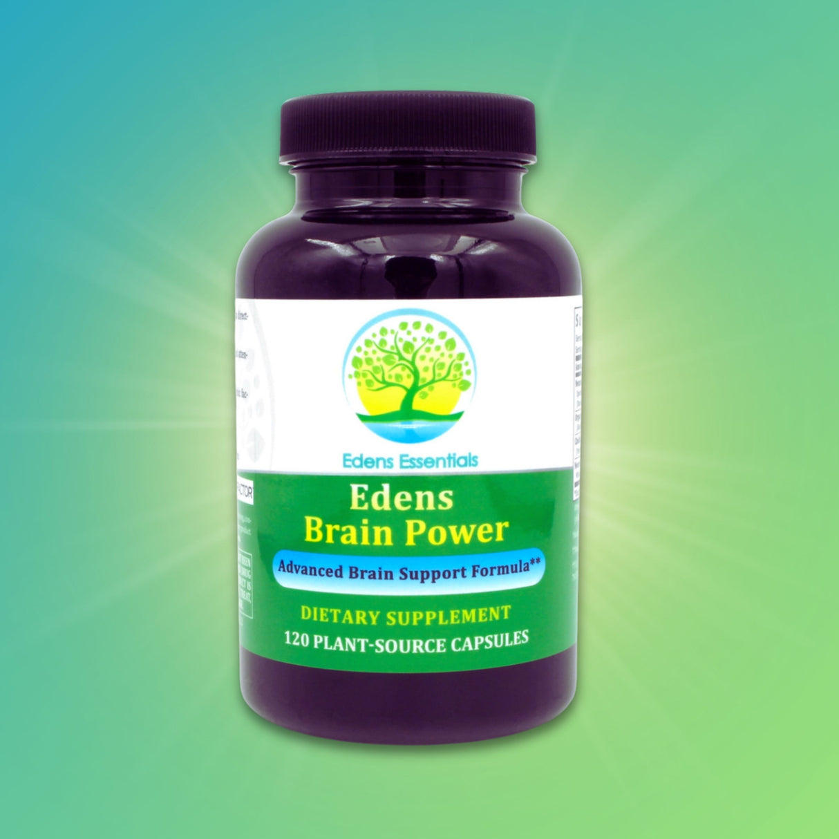Edens Brain Power supplement, featuring a blend of Neumentix spearmint extract, NeuroFactor coffee fruit extract, organic rosemary, and choline to support memory, mental focus, mood, and brain-derived neurotrophic factor (BDNF) production.
