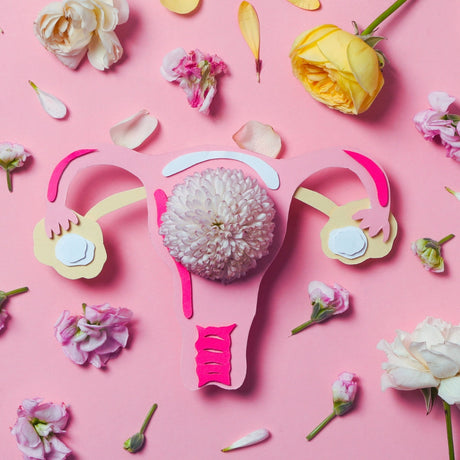 Rediscovering Her Design: How Science Is Finally Catching Up to Women’s Health