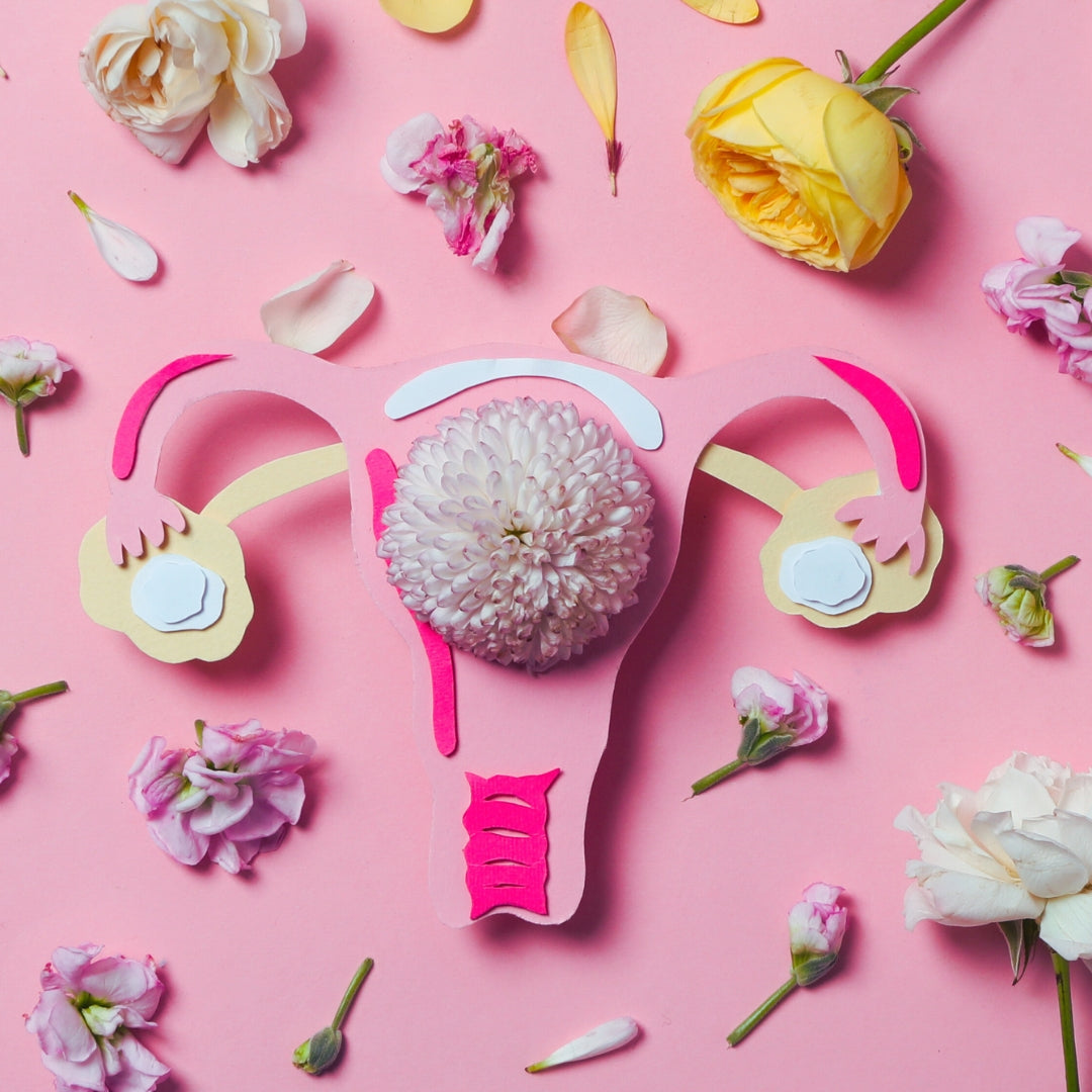 Rediscovering Her Design: How Science Is Finally Catching Up to Women’s Health