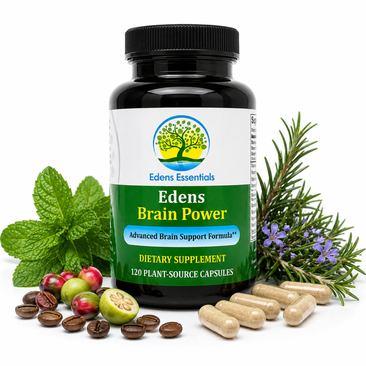 Edens Brain Power