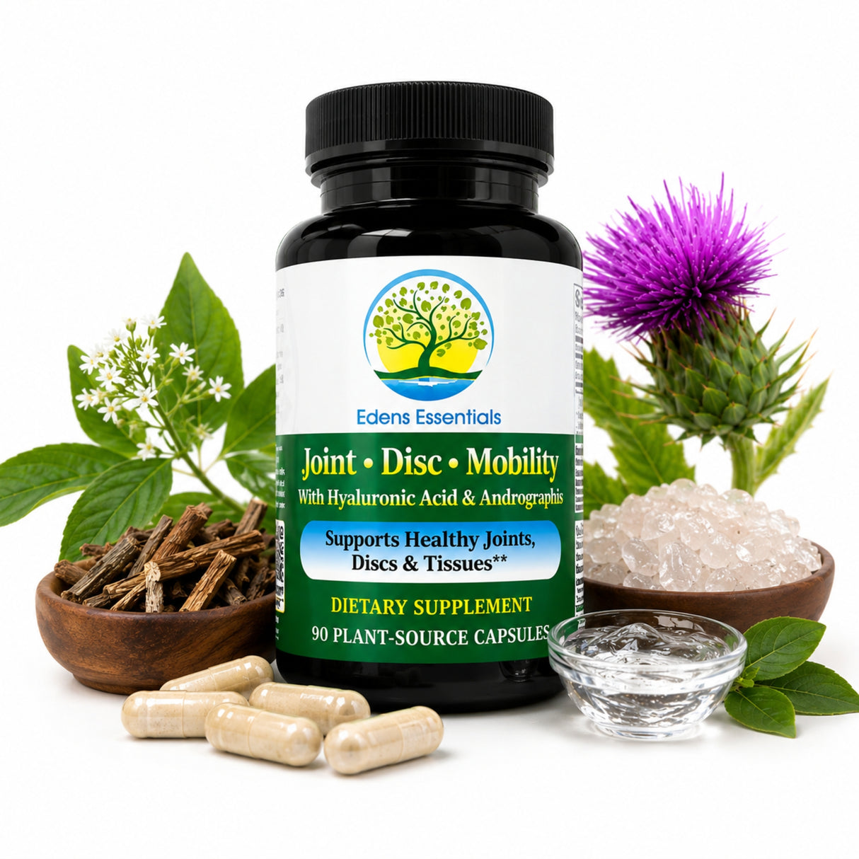 Edens Joint, Disc, Mobility