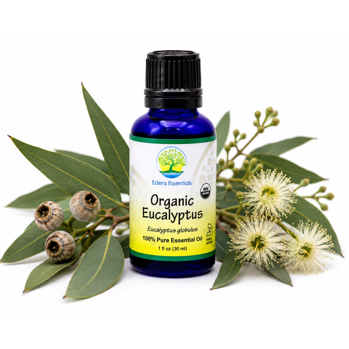 Edens Organic Eucalyptus Essential Oil