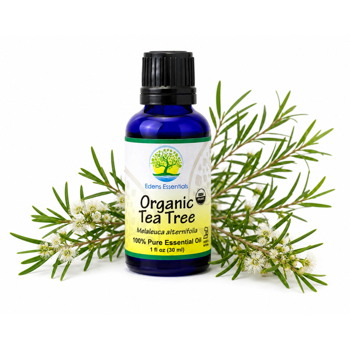 Edens Organic Tea Tree Essential Oil