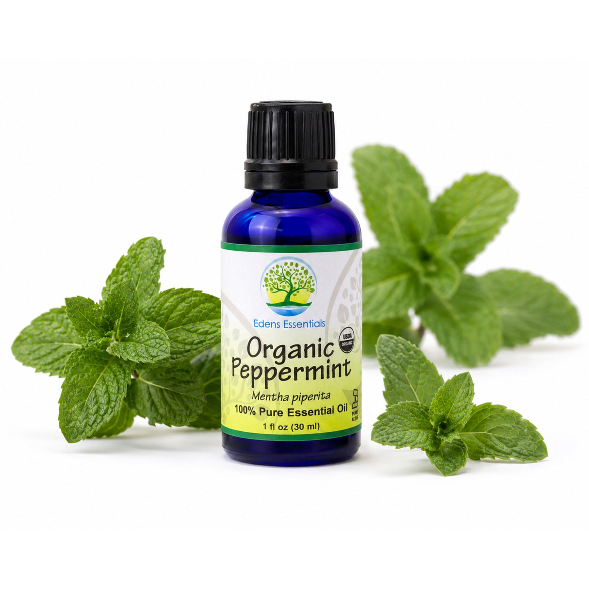 Edens Organic Peppermint Essential Oil
