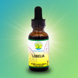 Lobelia